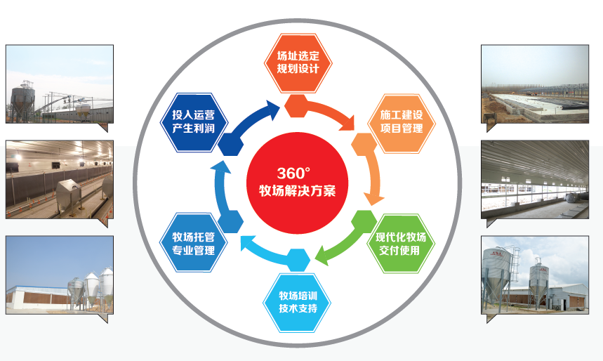 整体解决计划