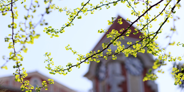 多彩同盟(中国游)官方网站