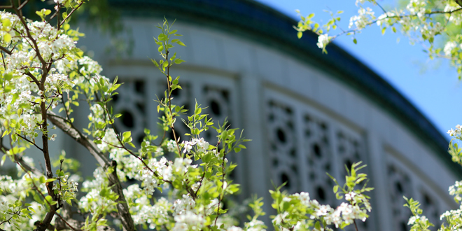 多彩同盟(中国游)官方网站