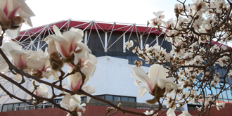 多彩同盟(中国游)官方网站