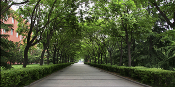 多彩同盟(中国游)官方网站