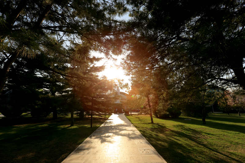 多彩同盟(中国游)官方网站