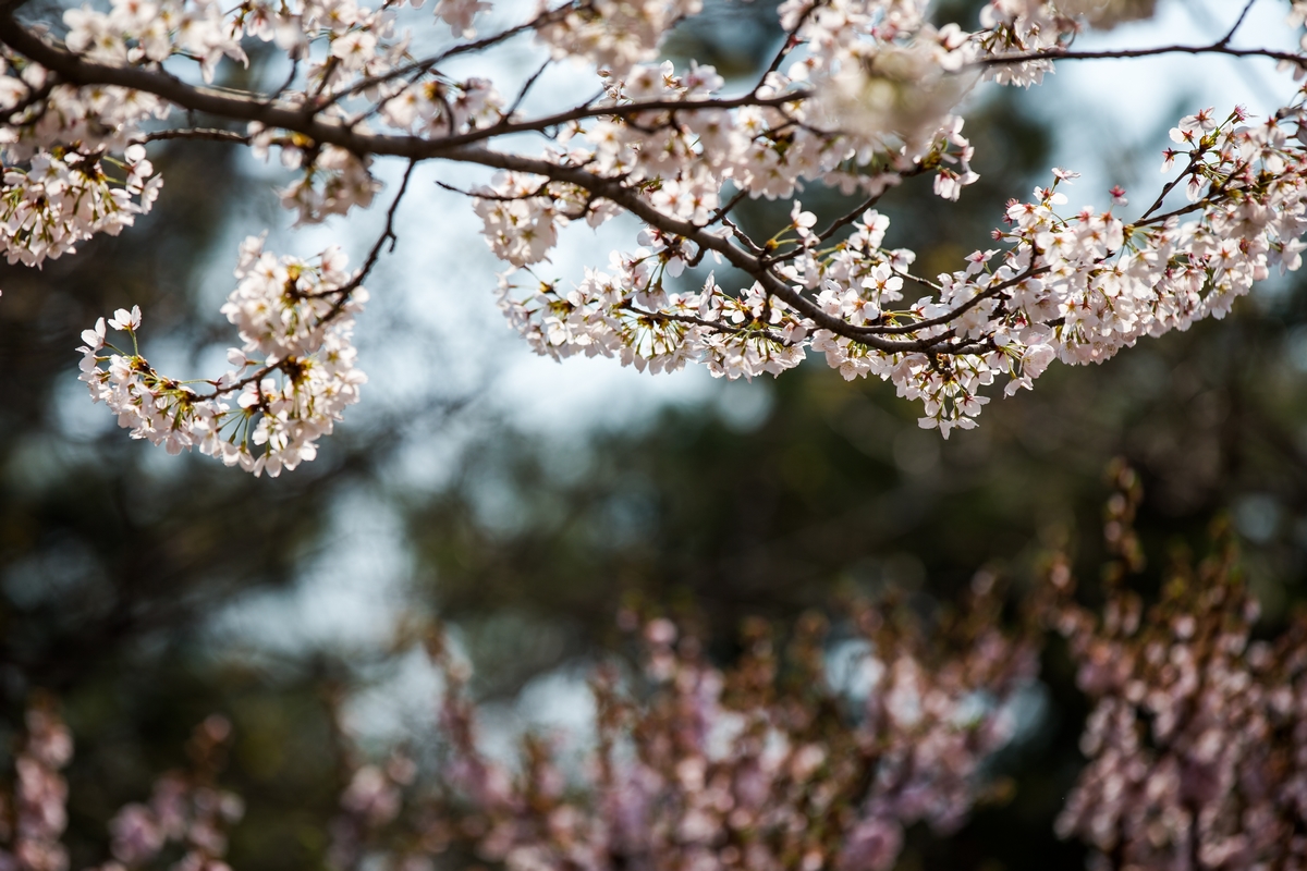 多彩同盟(中国游)官方网站