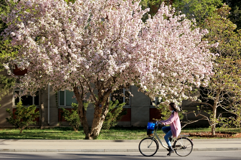 多彩同盟(中国游)官方网站