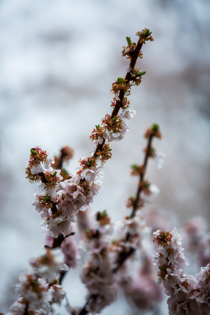 多彩同盟(中国游)官方网站