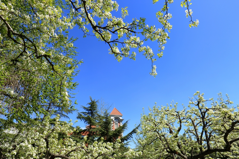 多彩同盟(中国游)官方网站