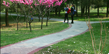 多彩同盟(中国游)官方网站