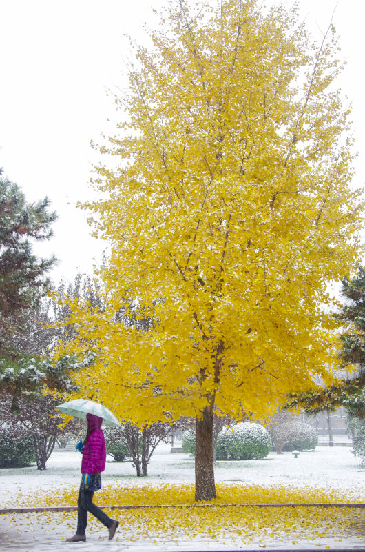多彩同盟(中国游)官方网站