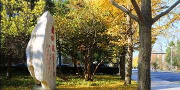 多彩同盟(中国游)官方网站