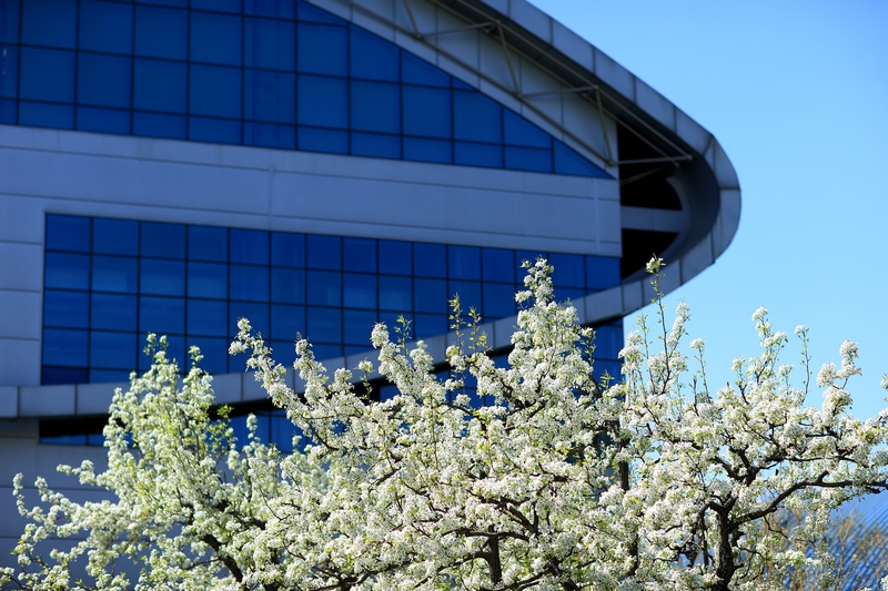 多彩同盟(中国游)官方网站