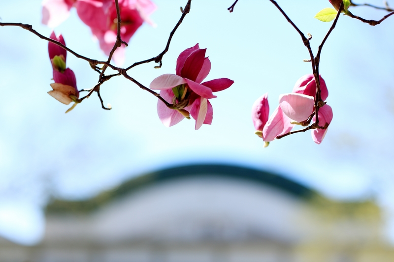 多彩同盟(中国游)官方网站