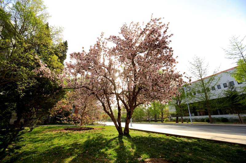 多彩同盟(中国游)官方网站