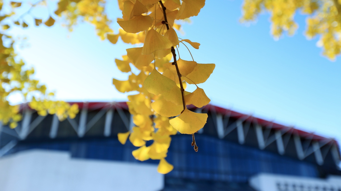 多彩同盟(中国游)官方网站