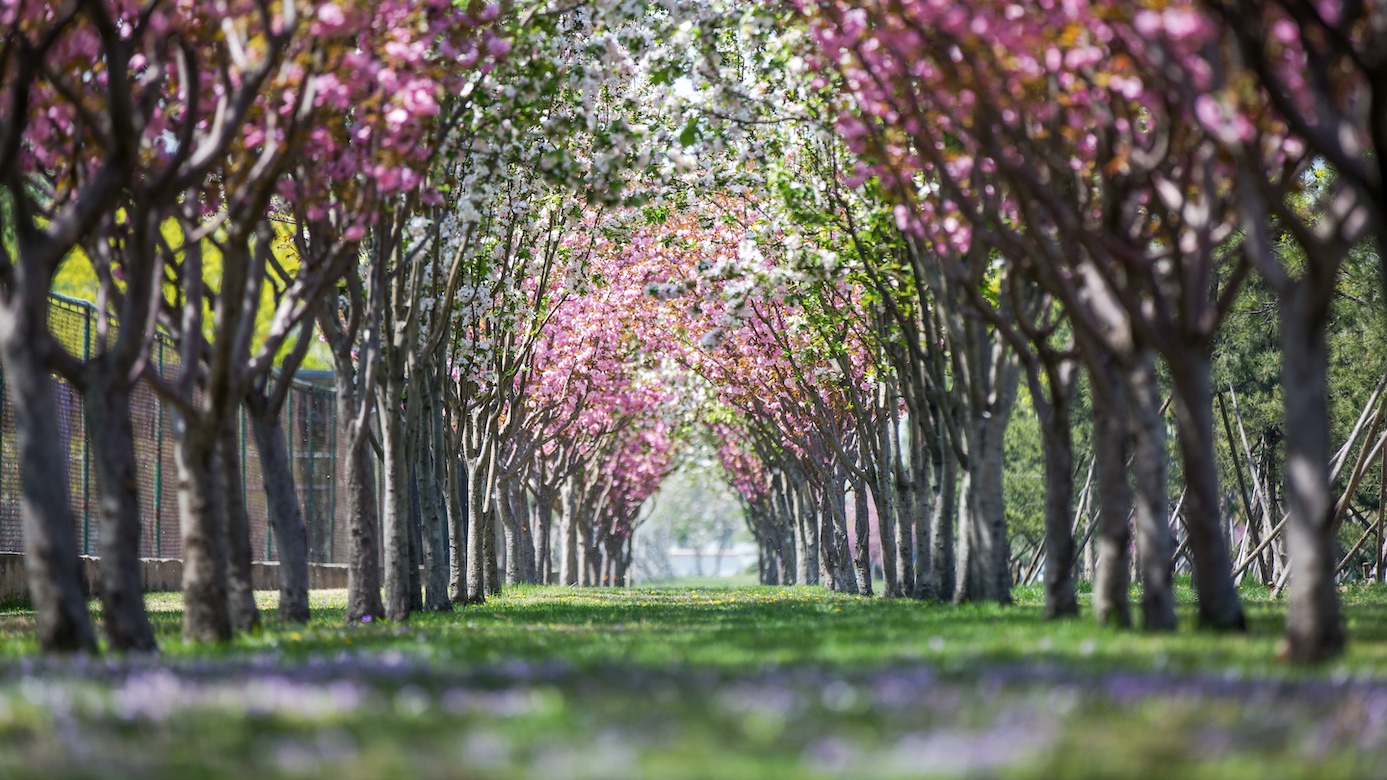 多彩同盟(中国游)官方网站