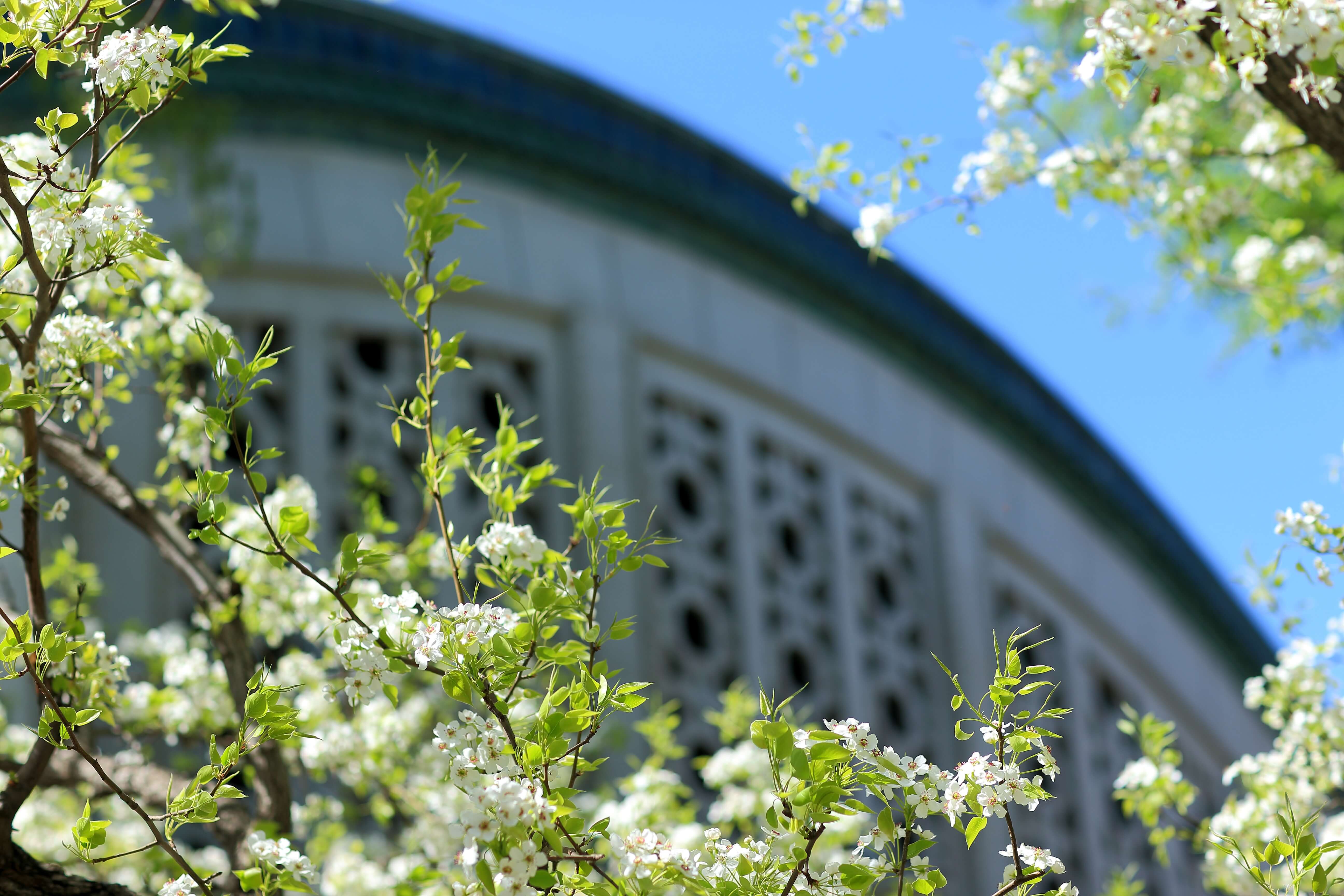 多彩同盟(中国游)官方网站