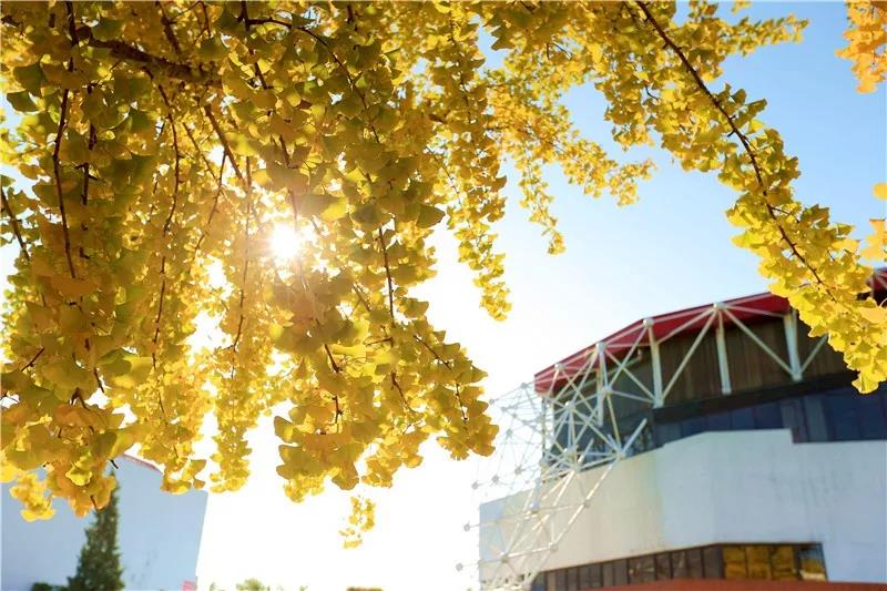 多彩同盟(中国游)官方网站