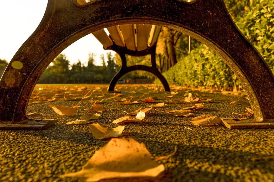 多彩同盟(中国游)官方网站