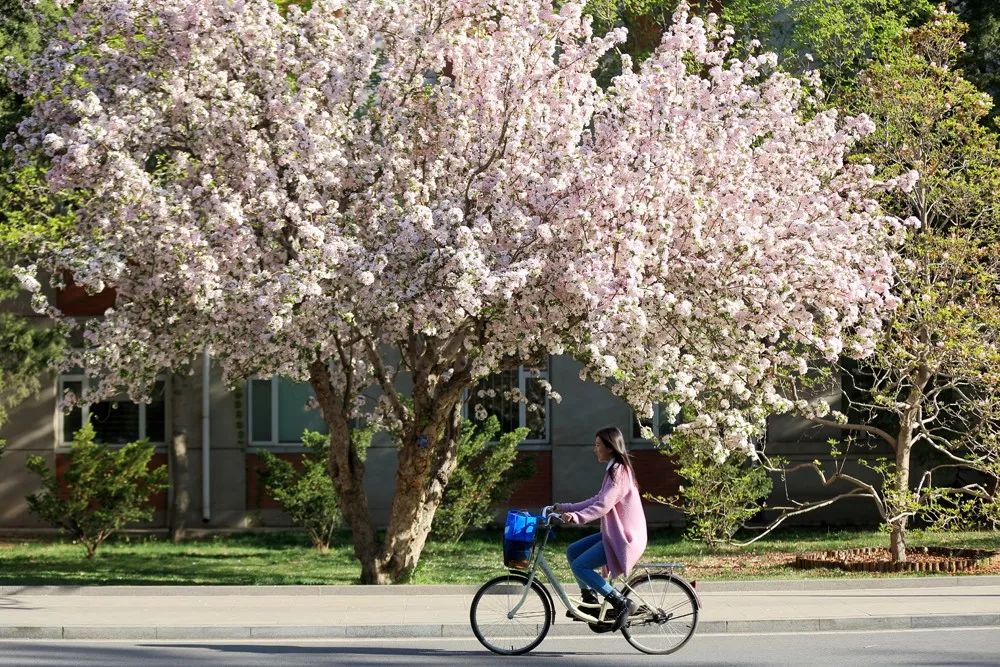多彩同盟(中国游)官方网站