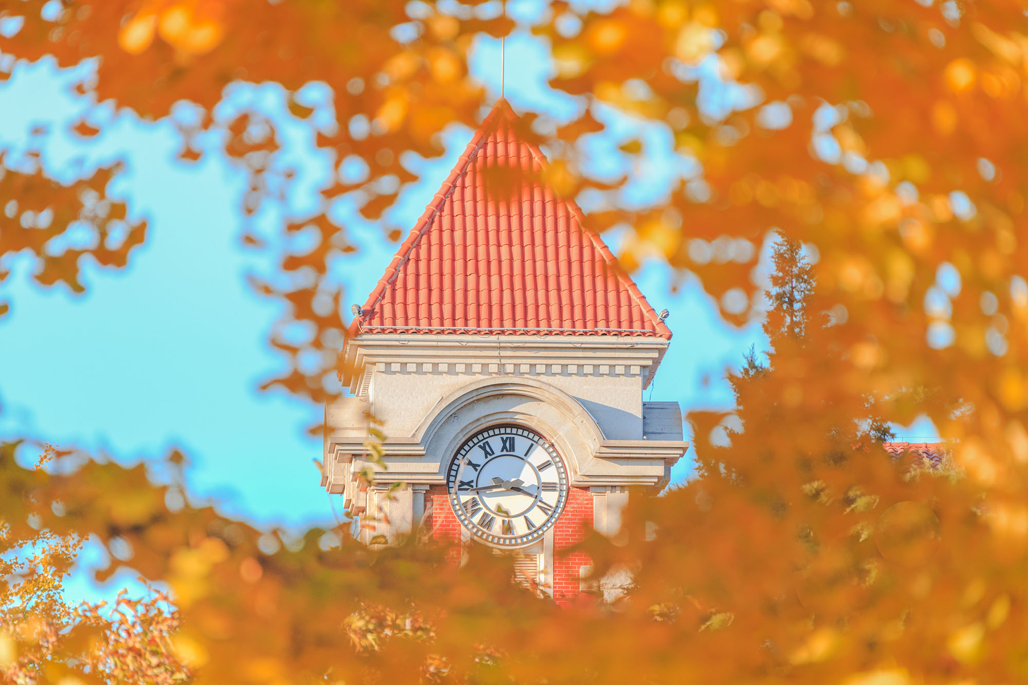 多彩同盟(中国游)官方网站