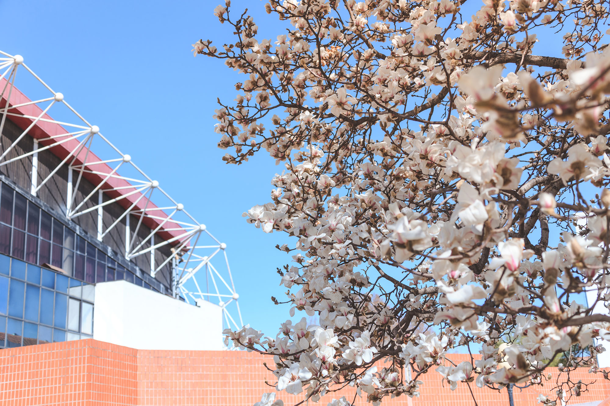 多彩同盟(中国游)官方网站