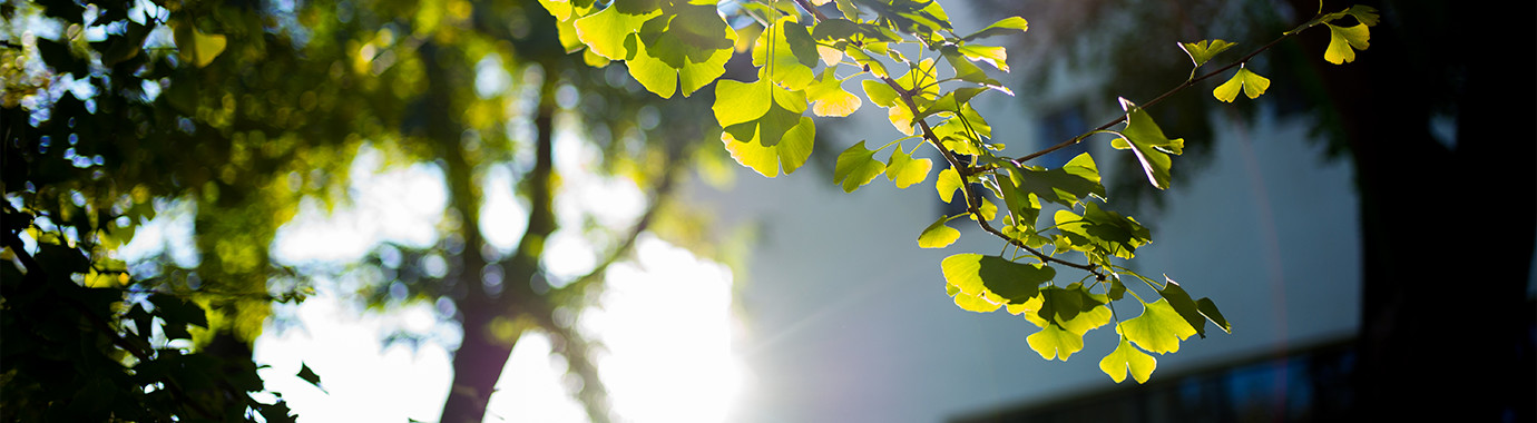 多彩同盟(中国游)官方网站